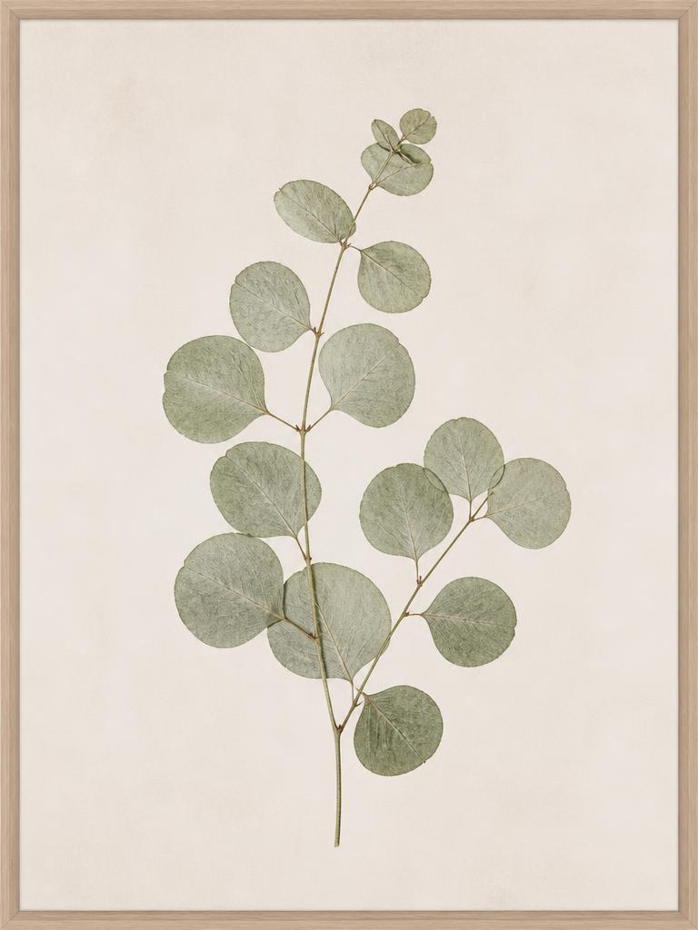 Eucalyptus Study shown in a bedroom